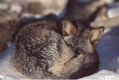 《席德·梅尔的文明VII》游戏演示即将于8月20日登场