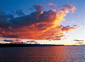 《宝可梦朱＆紫》端午丝丝属性大爆发